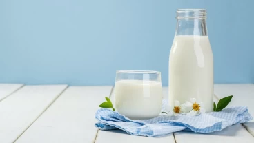 Пищевая промышленность